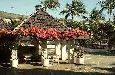 Esplanade, Private Party Area - Recreation Deck, Honolulu, Hawaii condominium sales