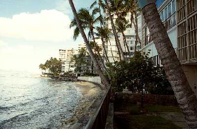 2987 Kalakaua, View from Sea Wall, Honolulu, Hawaii condominium sales