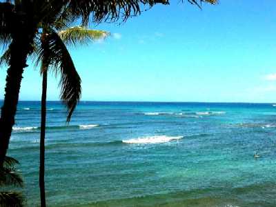 Diamond Head Apartments, Ocean View from Upper Level Floor, Honolulu, Hawaii condominium sales