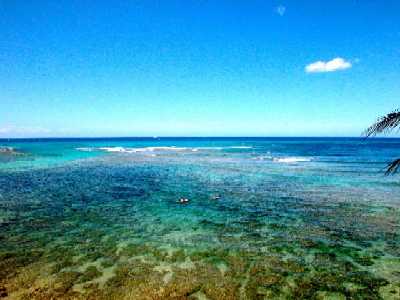 Tropic Seas, View from Upper Floor, Honolulu, Hawaii condominium sales