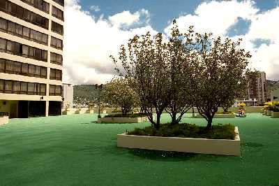 Iolani Court Plaza, Putting Green, Honolulu, Hawaii condominium sales