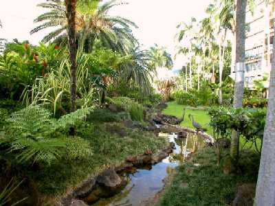 Punahou Cliffs, Manicured Garden, Honolulu, Hawaii condominium sales